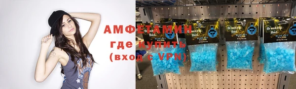 мет Алексин